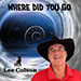 Lee Colson - Where Did You Go